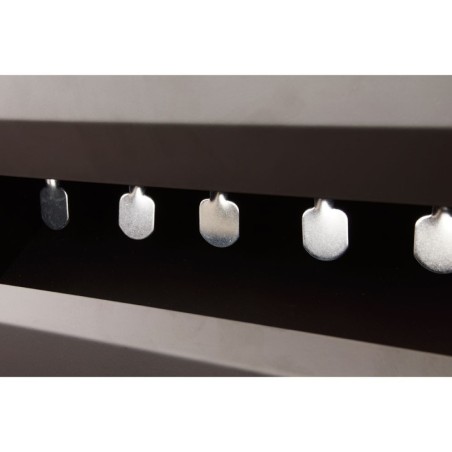 Cible à 5 pendules Cible à 5 pendules