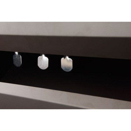 Cible à 5 pendules Cible à 5 pendules