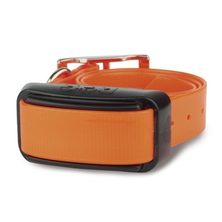 Collier Supplémentaire Professionnel