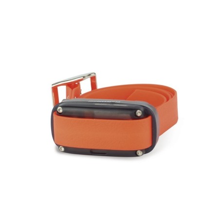 Collier Supplémentaire Professional One